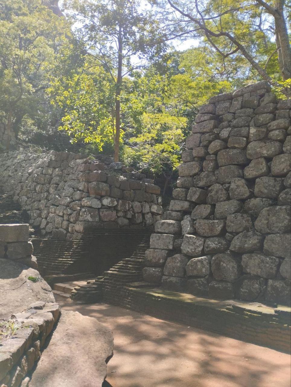 Sigiri Thilanka Rest Sigiriya Hotel Kültér fotó